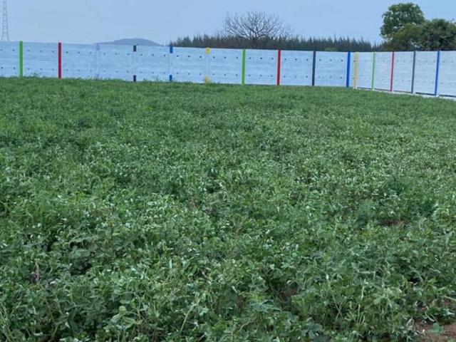 Land for sale in Guduvancheri, Tamil Nadu
