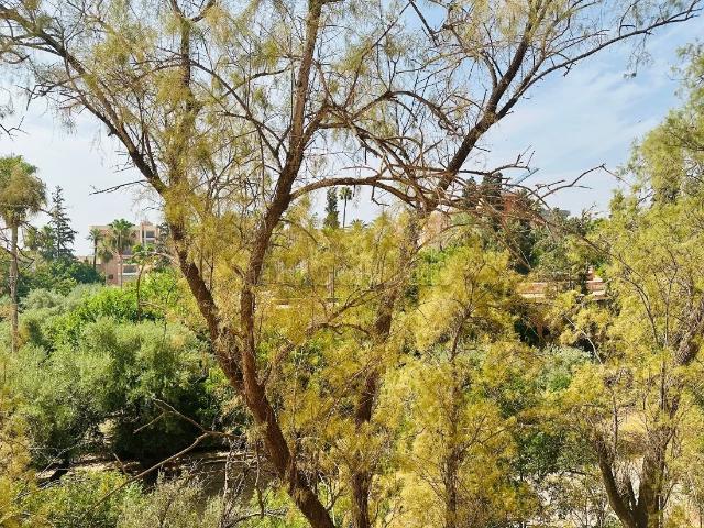 Appartement vente à Marrakech, L'Oriental