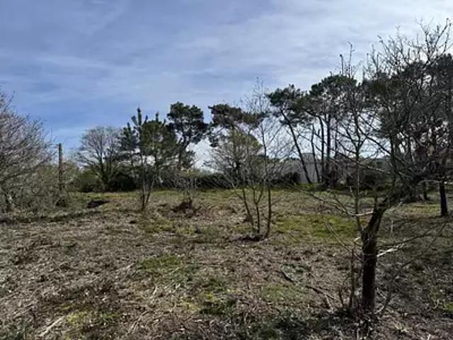 Terrain vente à Châteaubriant-Ancenis, Guémené-penfao