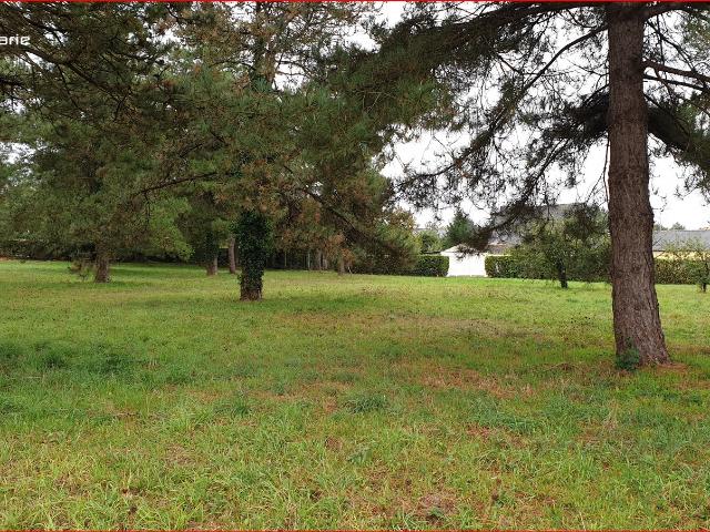 Terrain vente à Guémené-Penfao, Loire-Atlantique