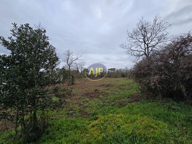Terrain vente à Guémené-Penfao, Loire-Atlantique