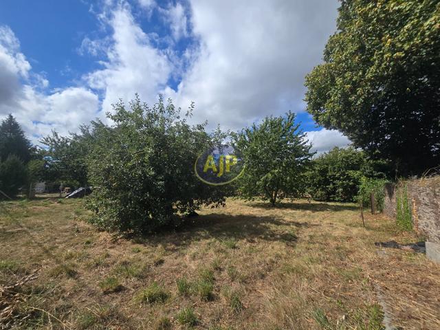Terrain vente à Châteaubriant-Ancenis, Guémené-penfao