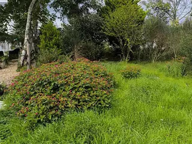 Terrain vente à Saint-Nazaire, Guenrouet