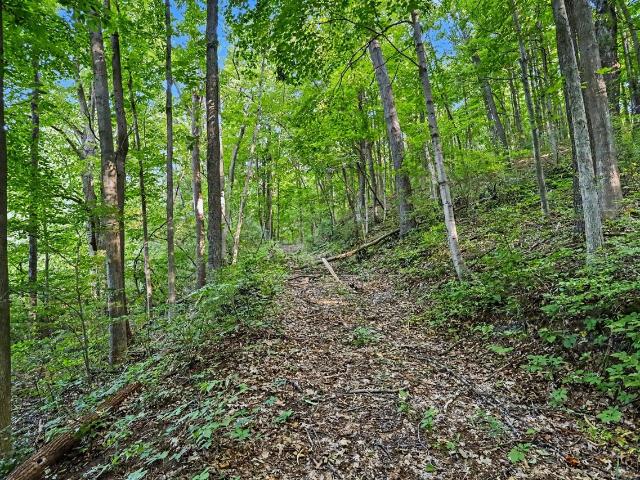 Land for sale in Shelbyville, Michigan