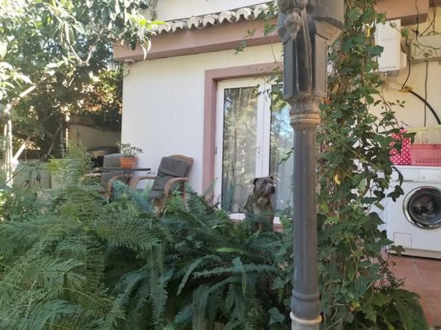 Estudio en alquiler en Artola, Costa del Sol Occidental