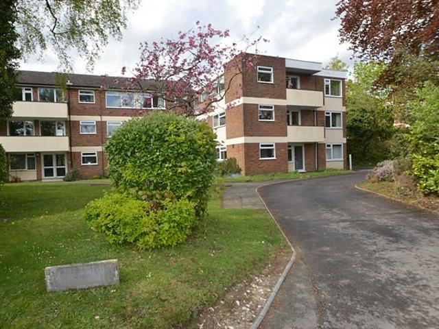 Apartment for rent in Charlotteville, Westborough