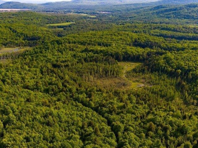 Land for sale in Guildhall, Vermont