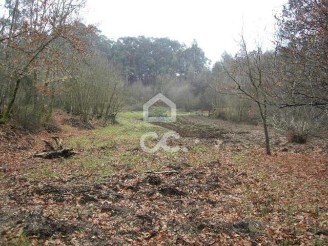 Terreno venda em Guimarães, Braga