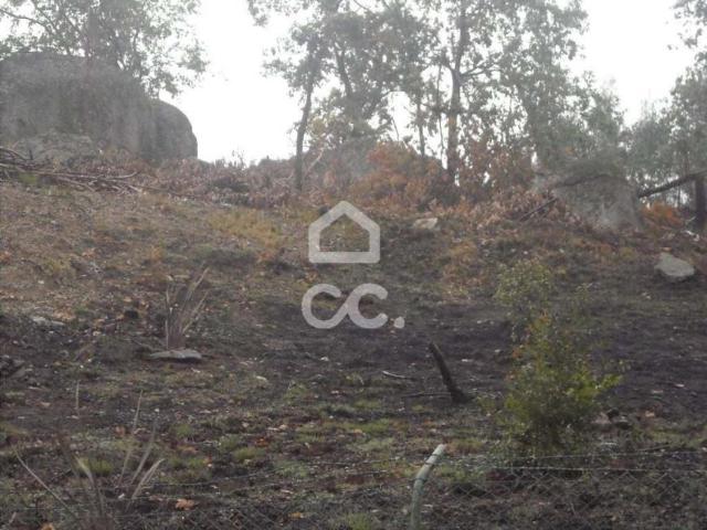 Terreno venda em Guimarães, Braga