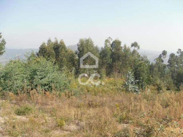 Terreno venda em Guimarães, Braga