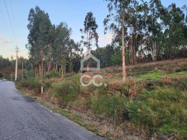 Terreno venda em Guimarães, Braga