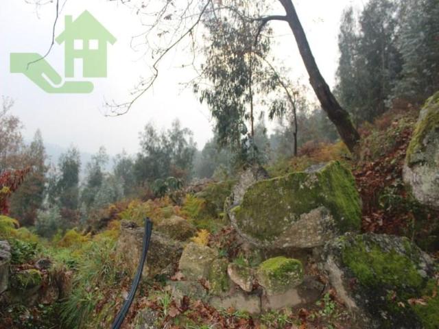 Terreno venda em Guimarães Terreno venda em Guimarães