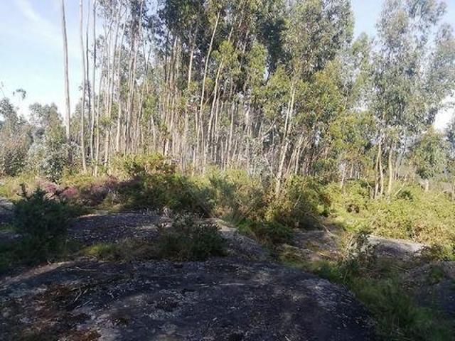 Terreno venda em Briteiros (Santa Leocádia), Guimarães