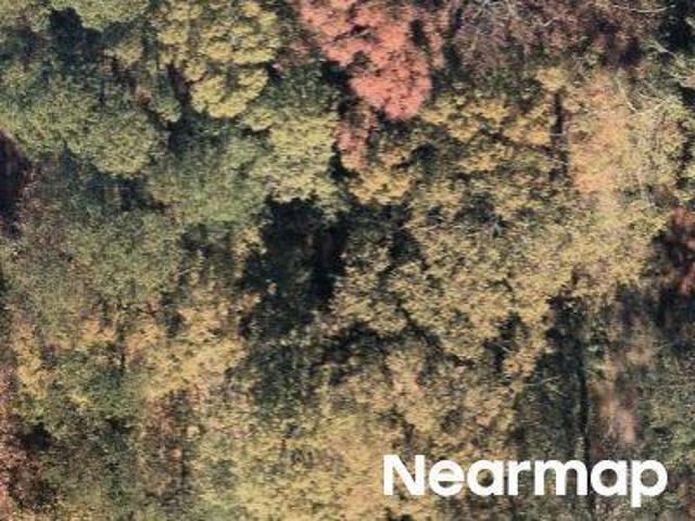 House for sale in Albertville, Alabama