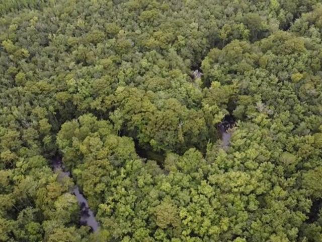 Land for sale in Springfield