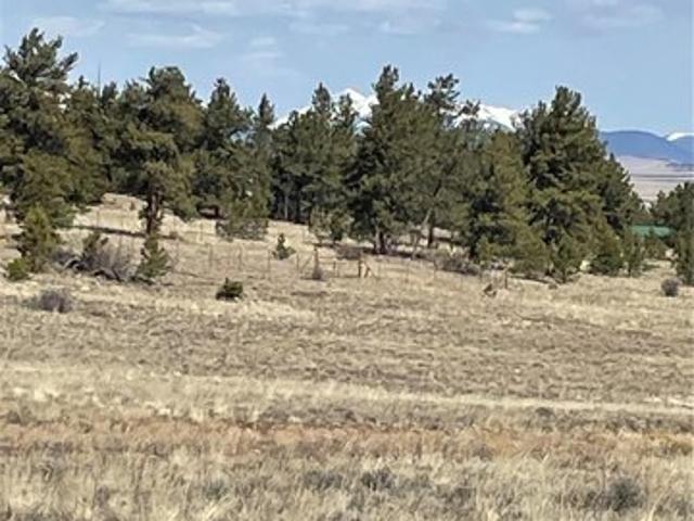 Land for sale in Hartsel, Park County