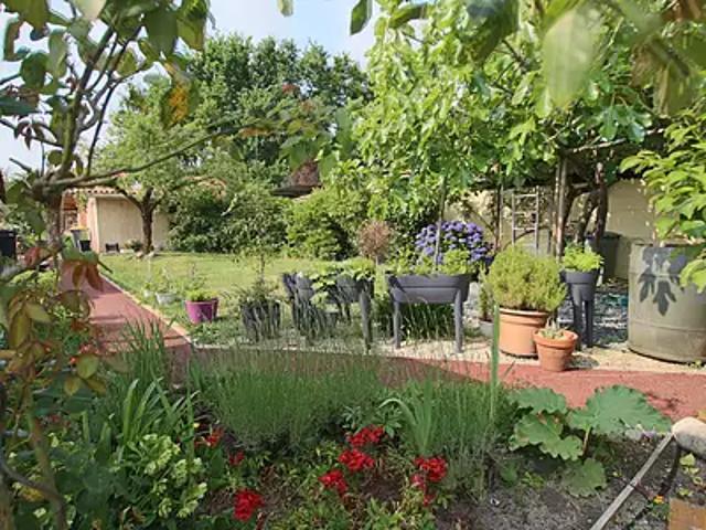 Maison vente à Arcachon, Gujan-mestras