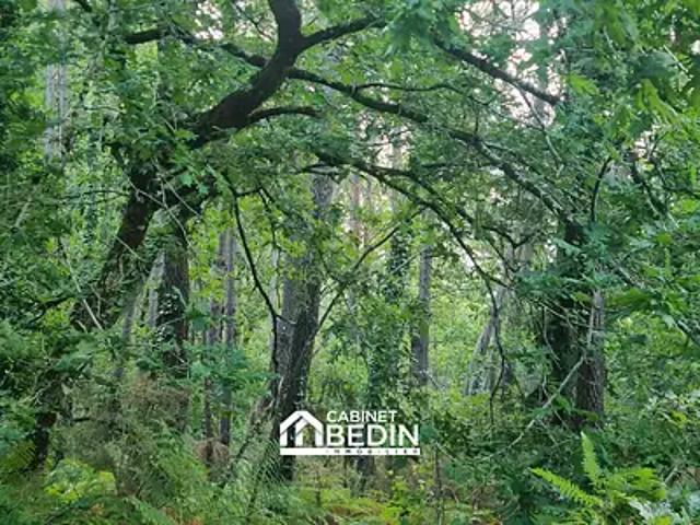 Terrain vente à Gujan-Mestras, Gironde