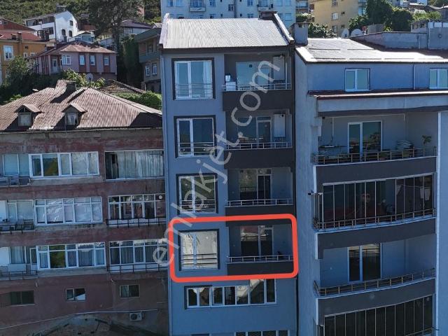 Cintaşı, Tirebolu içerisinde satılık mülk