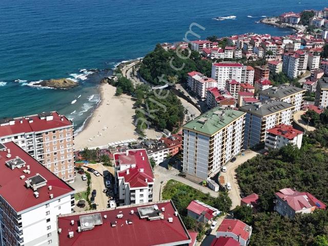 Derebaşı, Tirebolu içerisinde satılık mülk