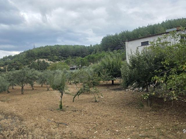 Doğan, Menteşe içerisinde satılık Arsa