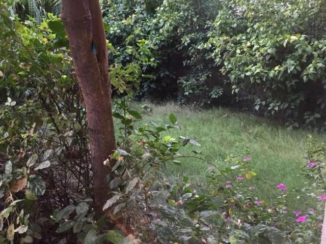 Land for sale in Rawalpindi, Islamabad Capital Territory