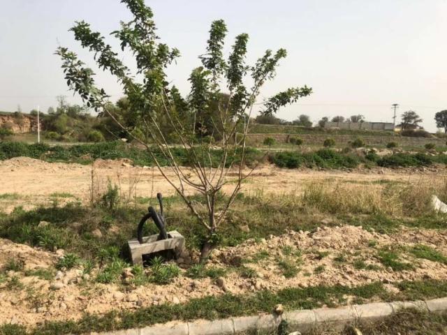 Land for sale in Islamabad