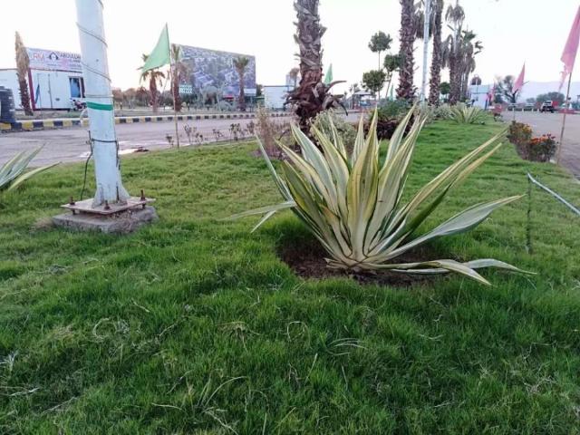 Land for sale in Islamabad