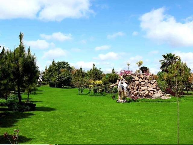 Land for sale in Islamabad