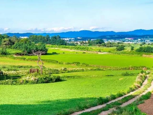 Land for sale in Islamabad