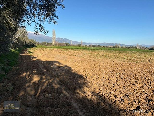 Ödemiş, İzmir içerisinde satılık Arsa