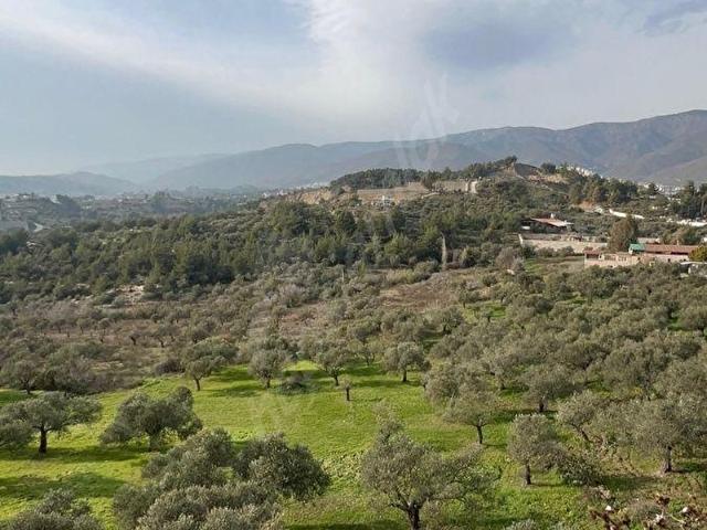 Karlısu, Antakya içerisinde satılık Arsa