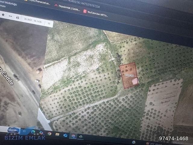 Oğlakören, Antakya içerisinde satılık Arsa