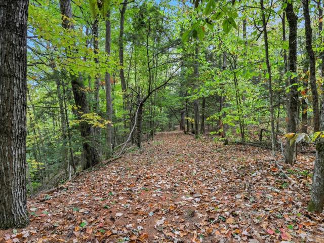 Land for sale in New Hampshire