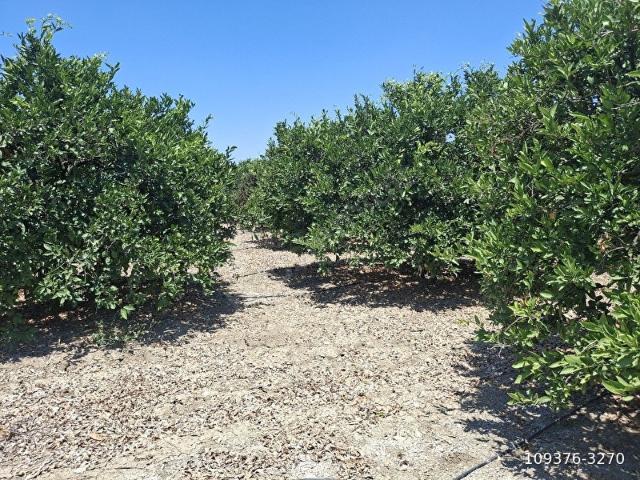 Akdeniz, Mersin içerisinde satılık mülk