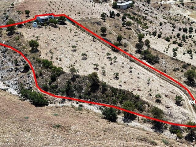 Musabeyli, Kilis içerisinde satılık mülk