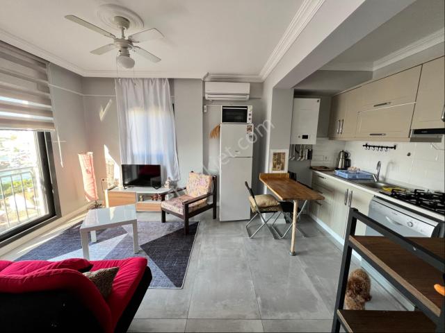 Milas, Muğla içerisinde kiralık mülk