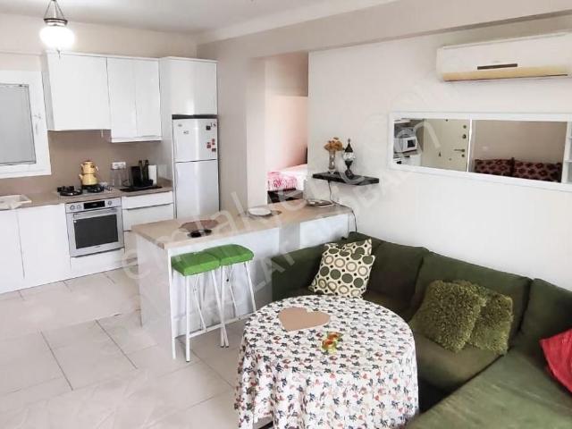 Milas, Muğla içerisinde kiralık mülk