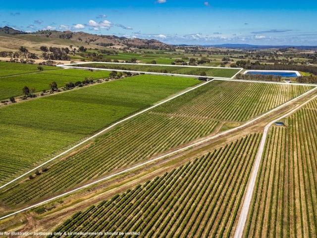 Property for sale in Rowland Flat, South Australia