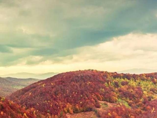 Land for sale in Islamabad