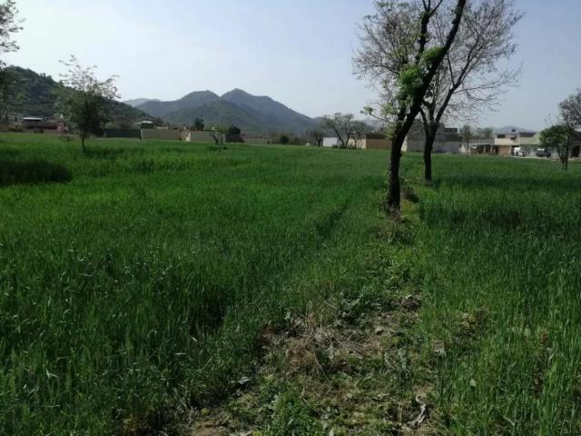 Land for sale in North Waziristan, Federally Administered Tribal Areas fata