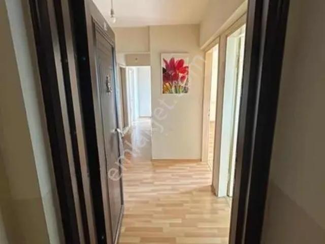 Zafer Mah., Nazilli içerisinde kiralık mülk