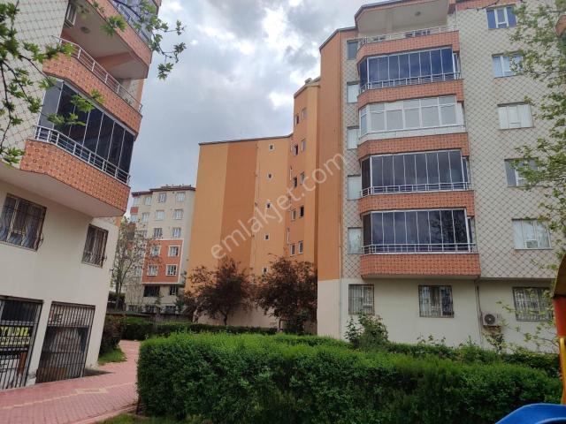 Batman Merkez, Batman içerisinde kiralık mülk