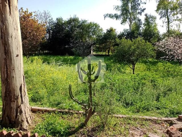 Property for sale in Islamabad