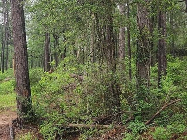 Land for sale in Grimes, Texas