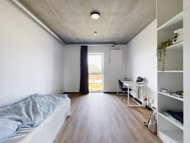 Zimmer mieten