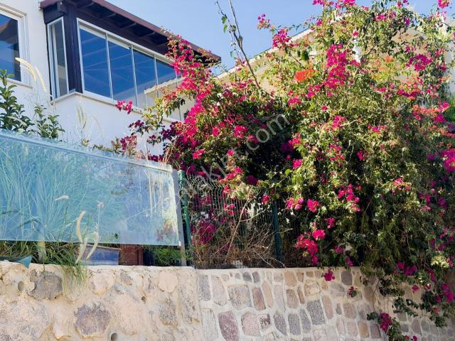 ASKO 58 Konut Yapı Kooperatifi, Bodrum içerisinde kiralık Villa