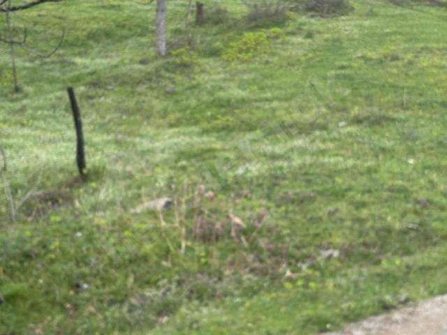 Gümüşova, Düzce içerisinde satılık Arsa