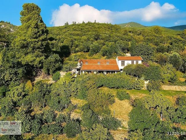 Menderes, İzmir içerisinde satılık mülk