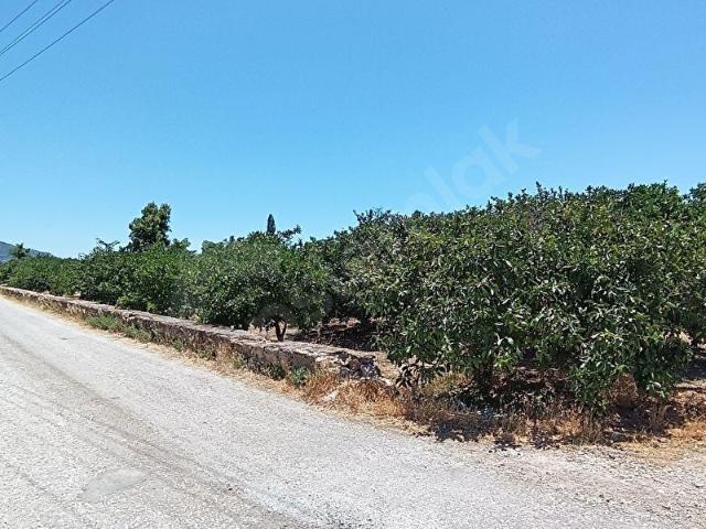 Menderes, İzmir içerisinde satılık Arsa